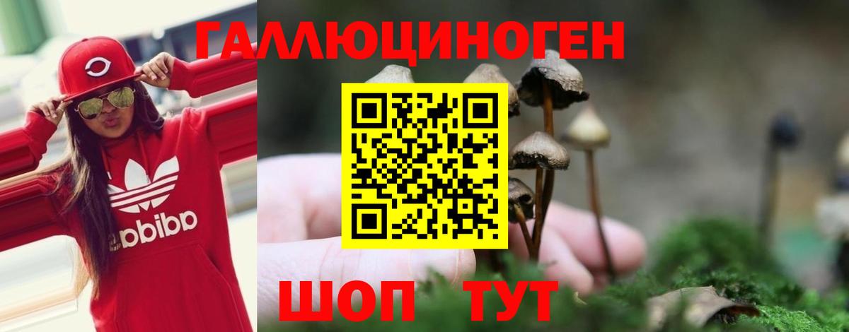 Бошки Шишки  Сланцы  Вход с VPN  АМФ   МЕФ   ГАШ  КОКАИН  ГАШИШ 